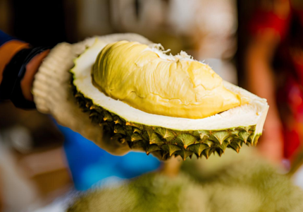 INTERNATIONAL-STANDARD RAW MATERIAL ZONES – A LAUNCHPAD FOR VIETNAMESE DURIAN TO REACH THE WORLD