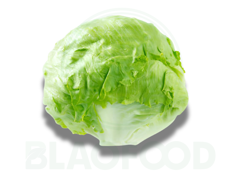 Iceberg Lettuce