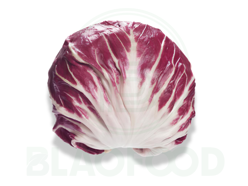 Radicchio lettuce