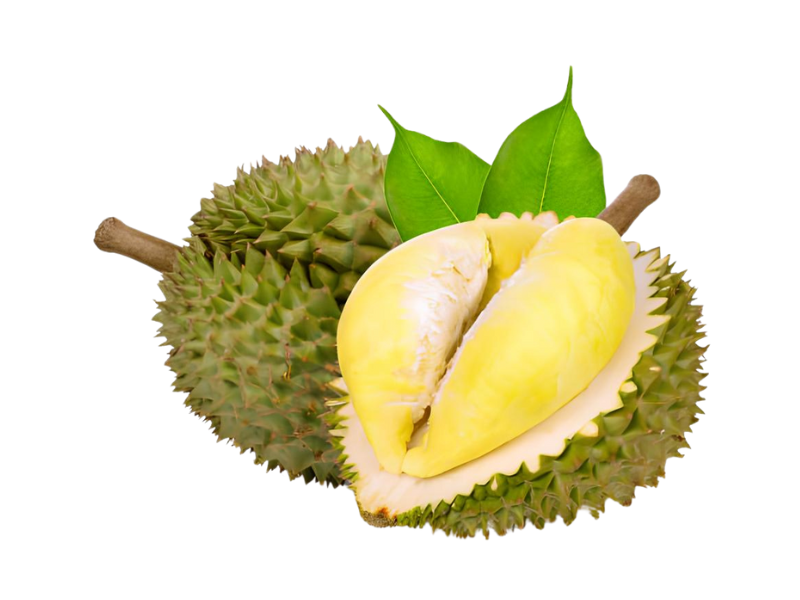 新鲜榴莲